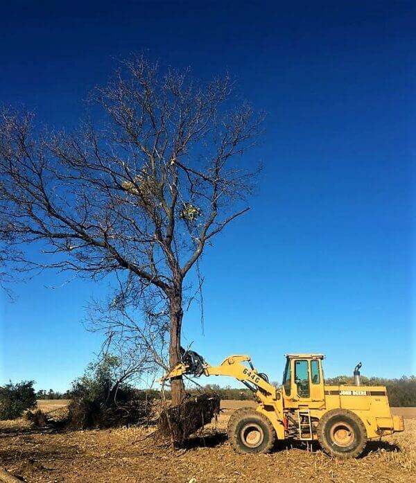 CL Fab Skid Steer Tree Puller