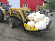 CL Fabricator Skid Steer Rock Bucket carrying pumpkins